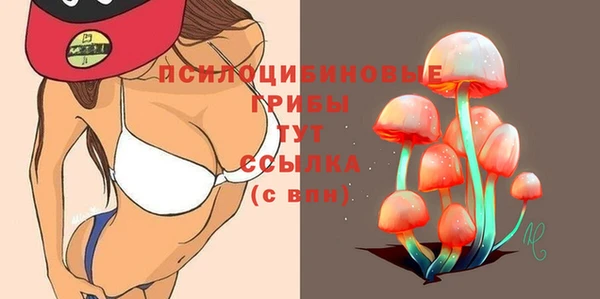 герыч Алзамай